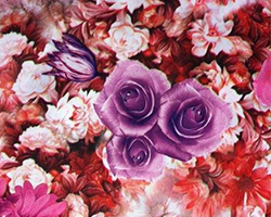 哪里學(xué)服裝數(shù)碼印花設(shè)計(jì)最好？